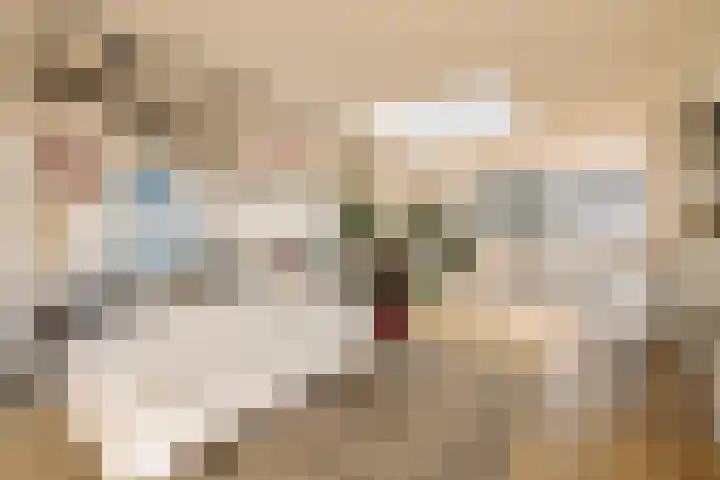 Johan van Hasseltkade 227 B Amsterdam thumbnail 21