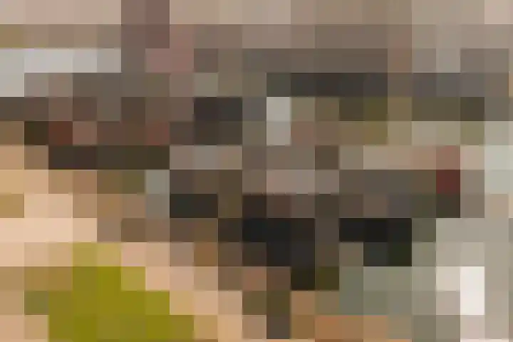 Johan van Hasseltkade 227 B Amsterdam thumbnail 36