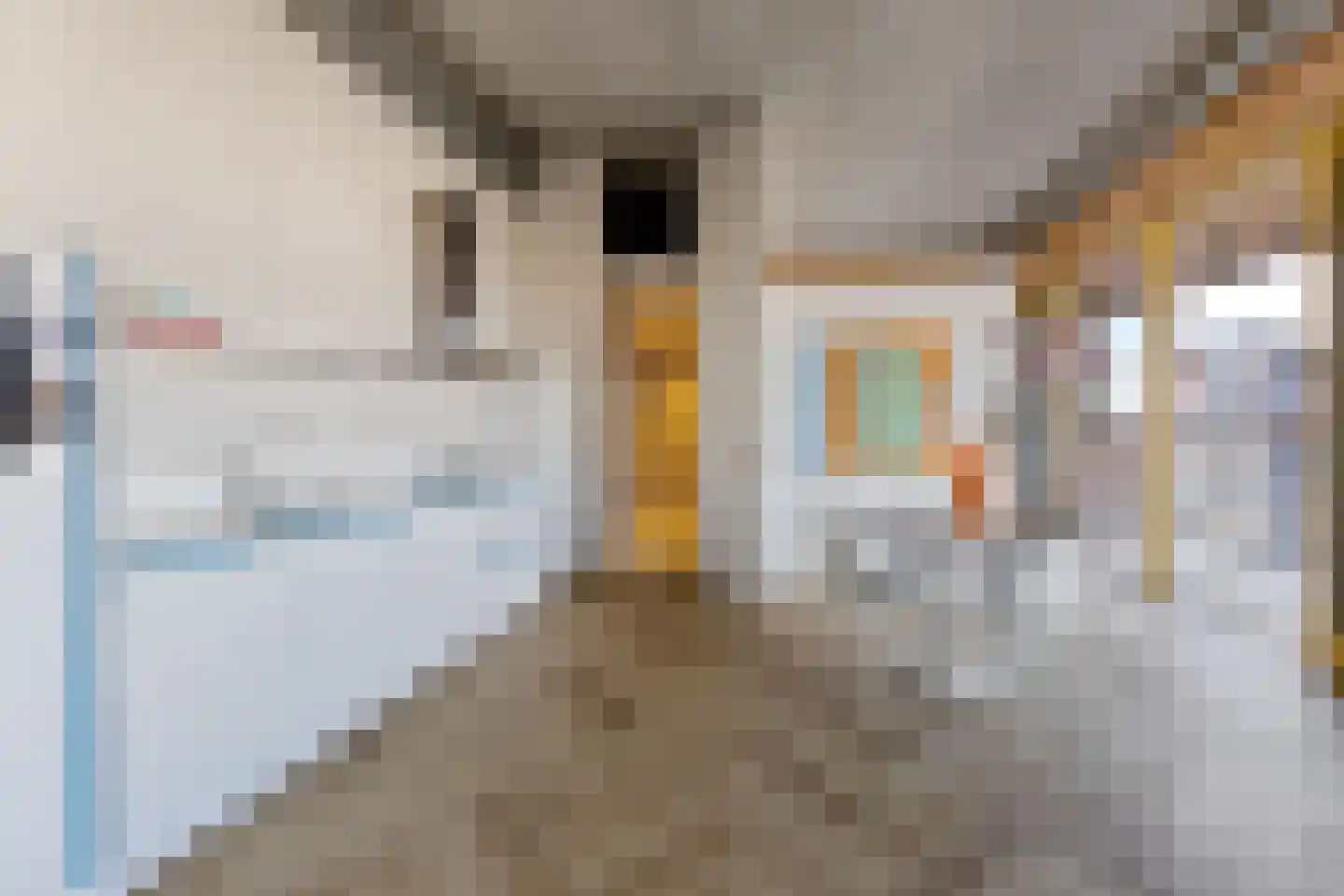 Johan van Hasseltkade 272 Amsterdam thumbnail 15