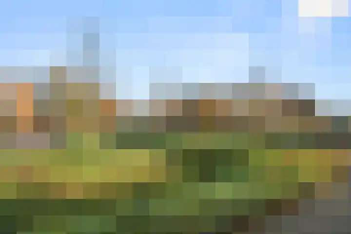 Johan van Hoekelumlaan 14 Bennekom thumbnail 11