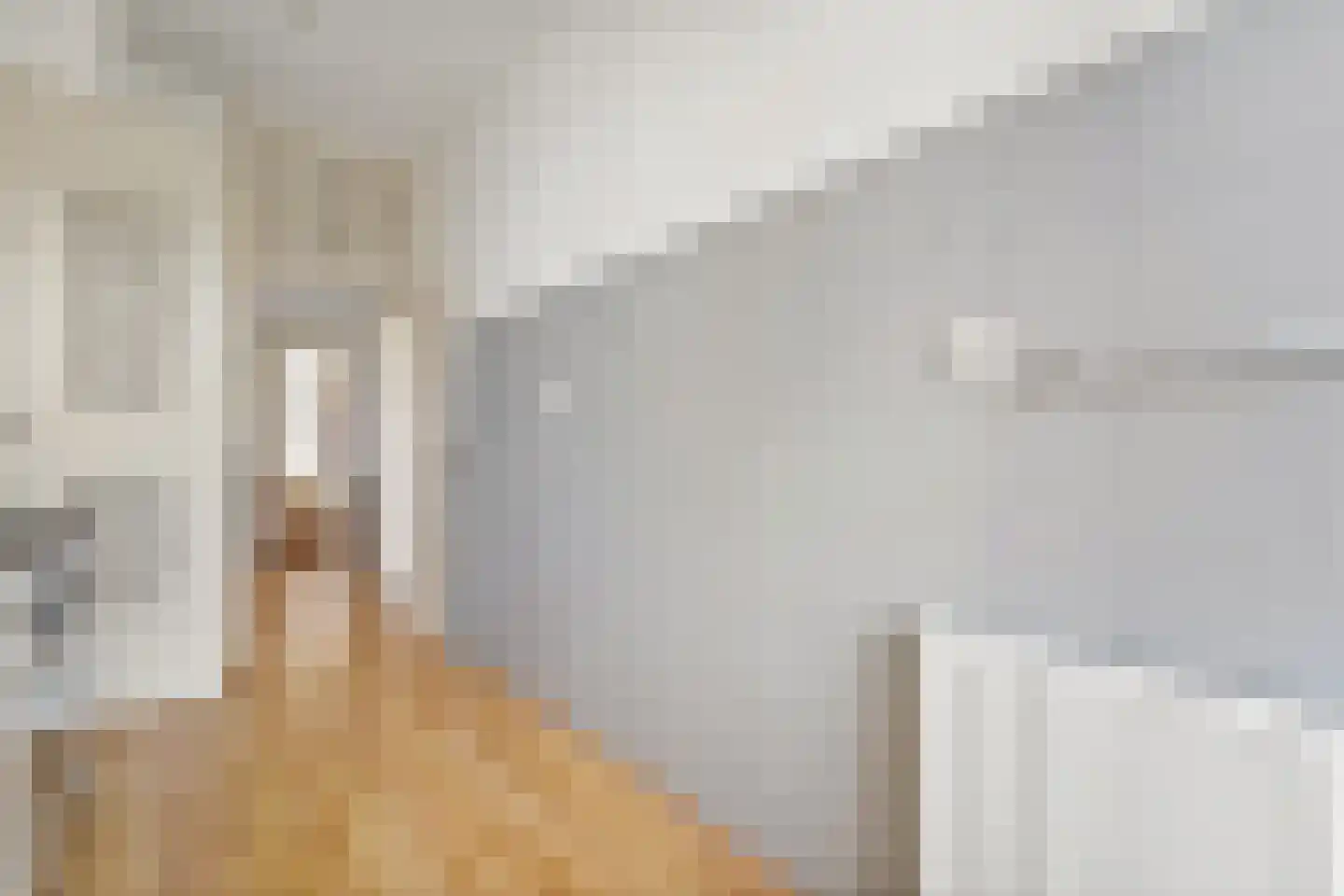 Johan van Hoornstraat 18 Den Haag thumbnail 12