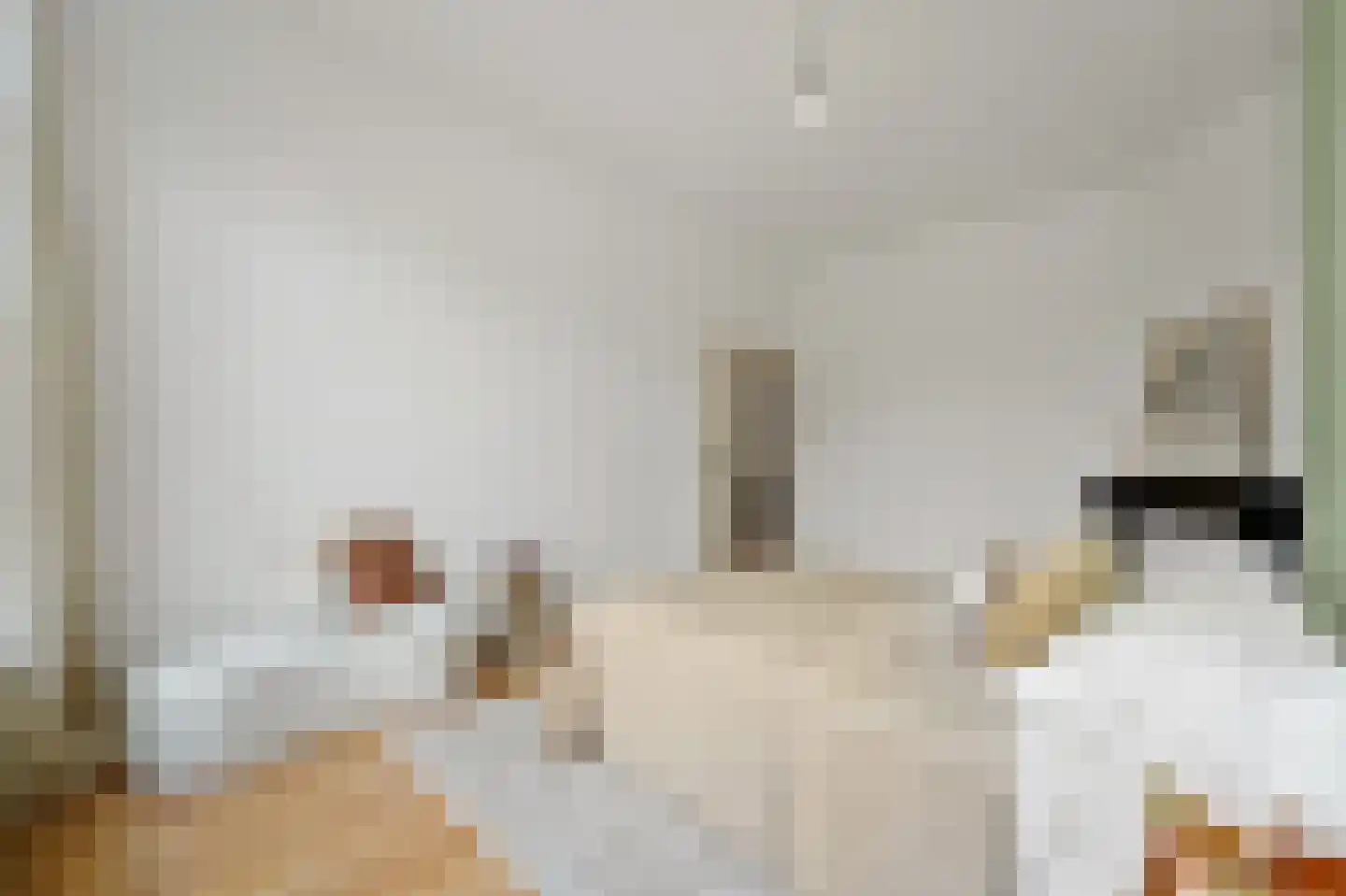 Johan van Hoornstraat 18 Den Haag thumbnail 14