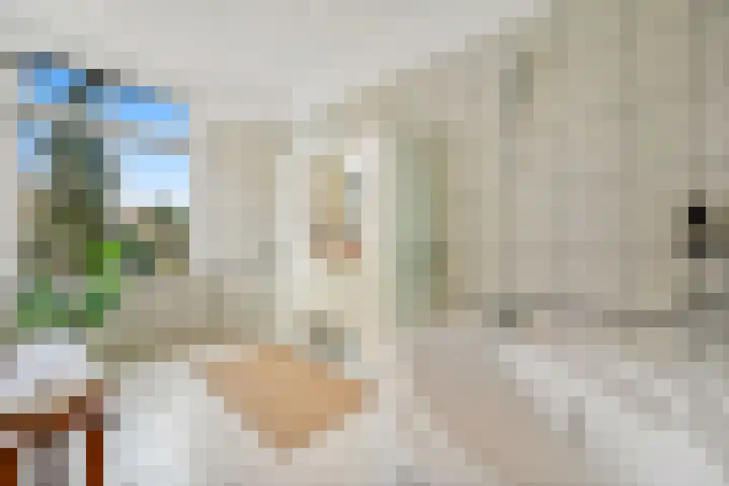 Johan van Hoornstraat 18 Den Haag thumbnail 16