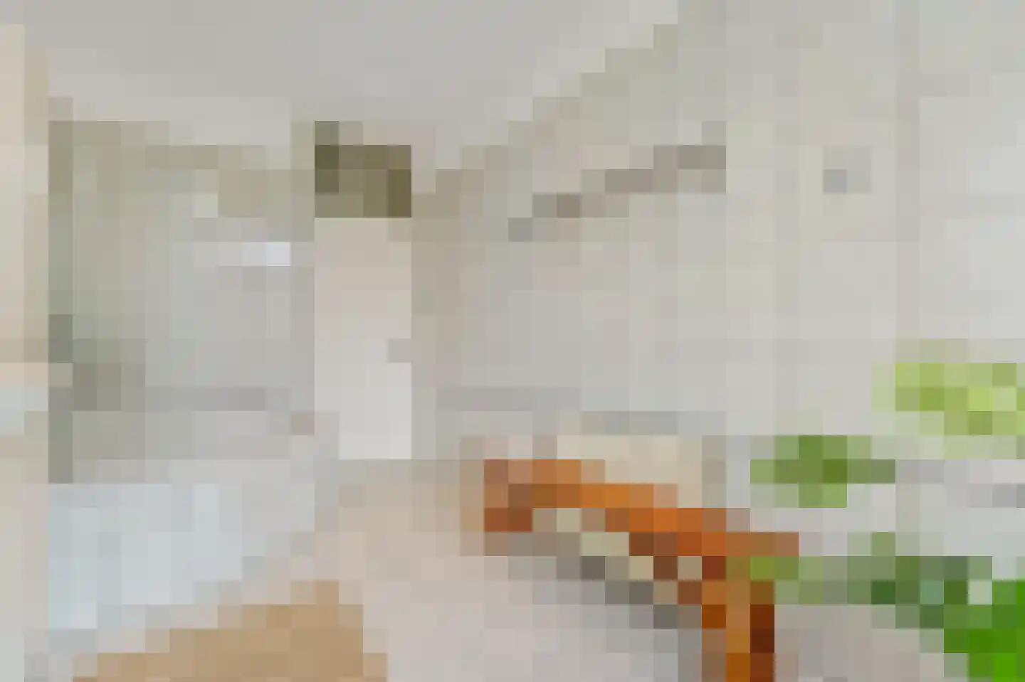 Johan van Hoornstraat 18 Den Haag thumbnail 17