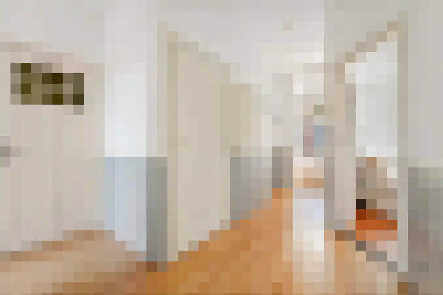 Johan van Hoornstraat 18 Den Haag thumbnail 19