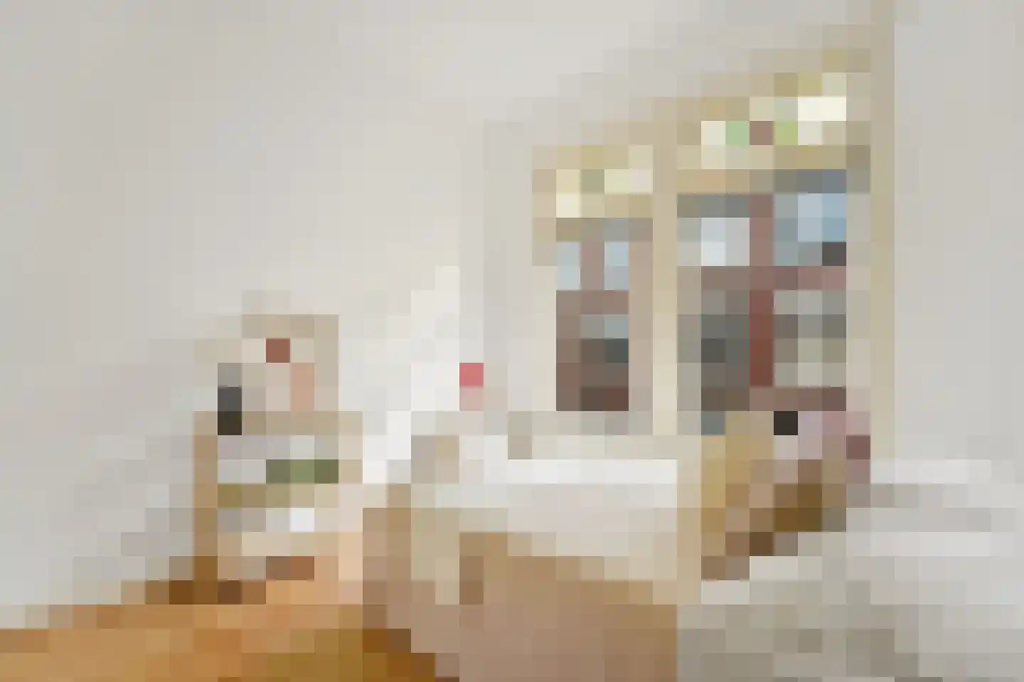 Johan van Hoornstraat 18 Den Haag thumbnail 4