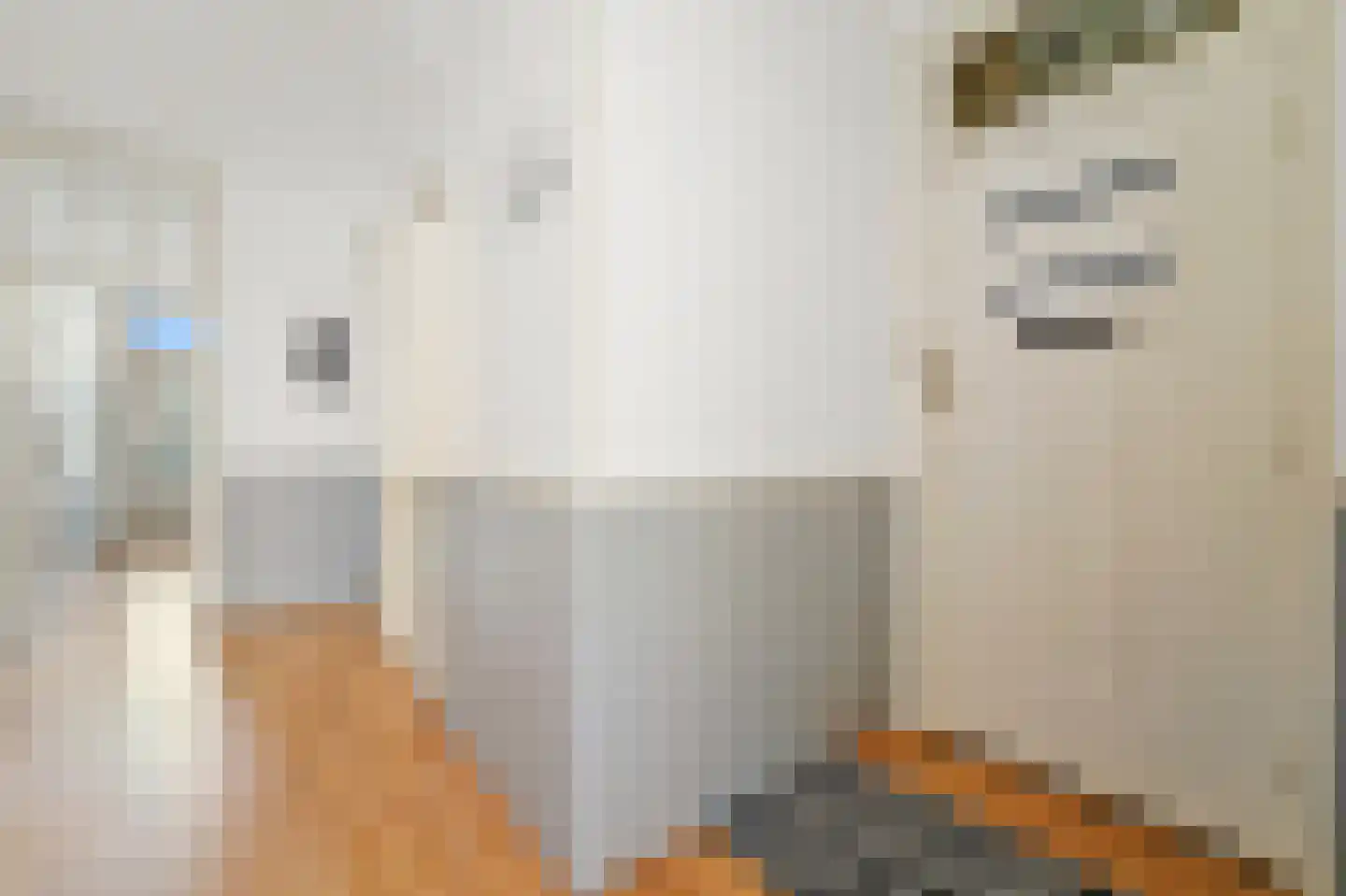 Johan van Hoornstraat 18 Den Haag thumbnail 8