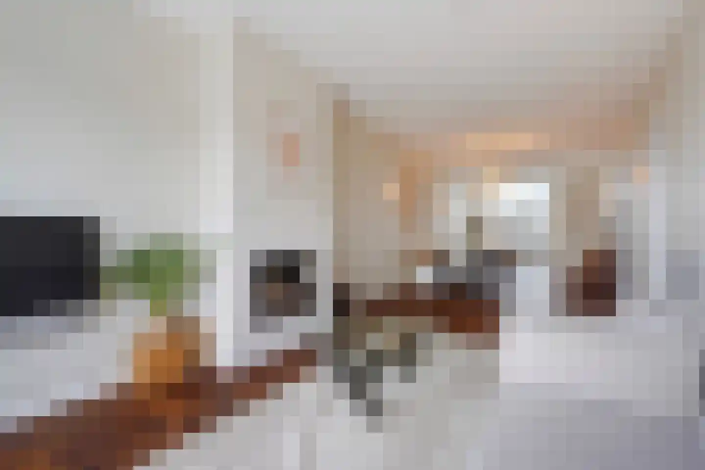 Johan van Hoornstraat 21 Den Haag thumbnail 12