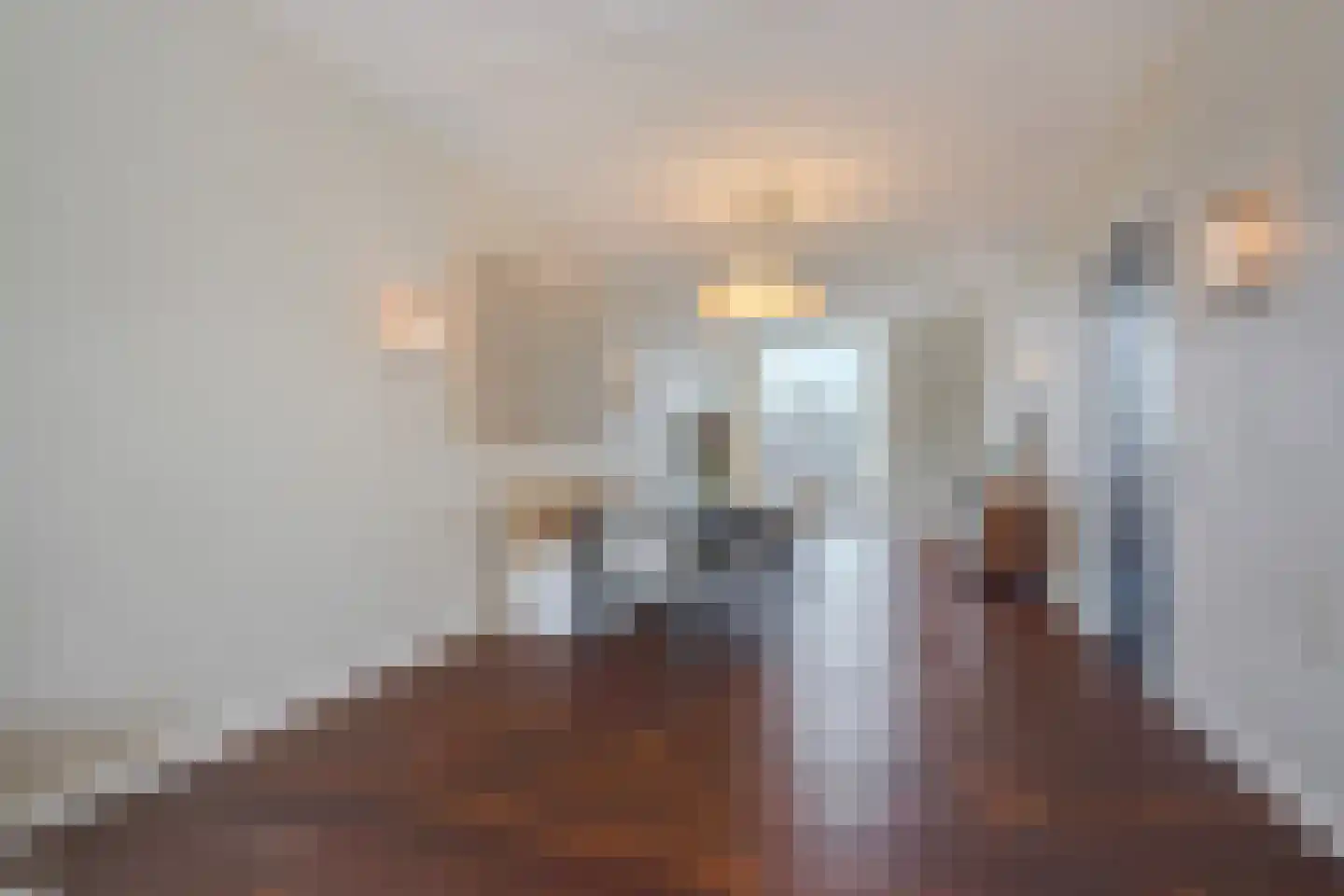 Johan van Hoornstraat 21 Den Haag thumbnail 13