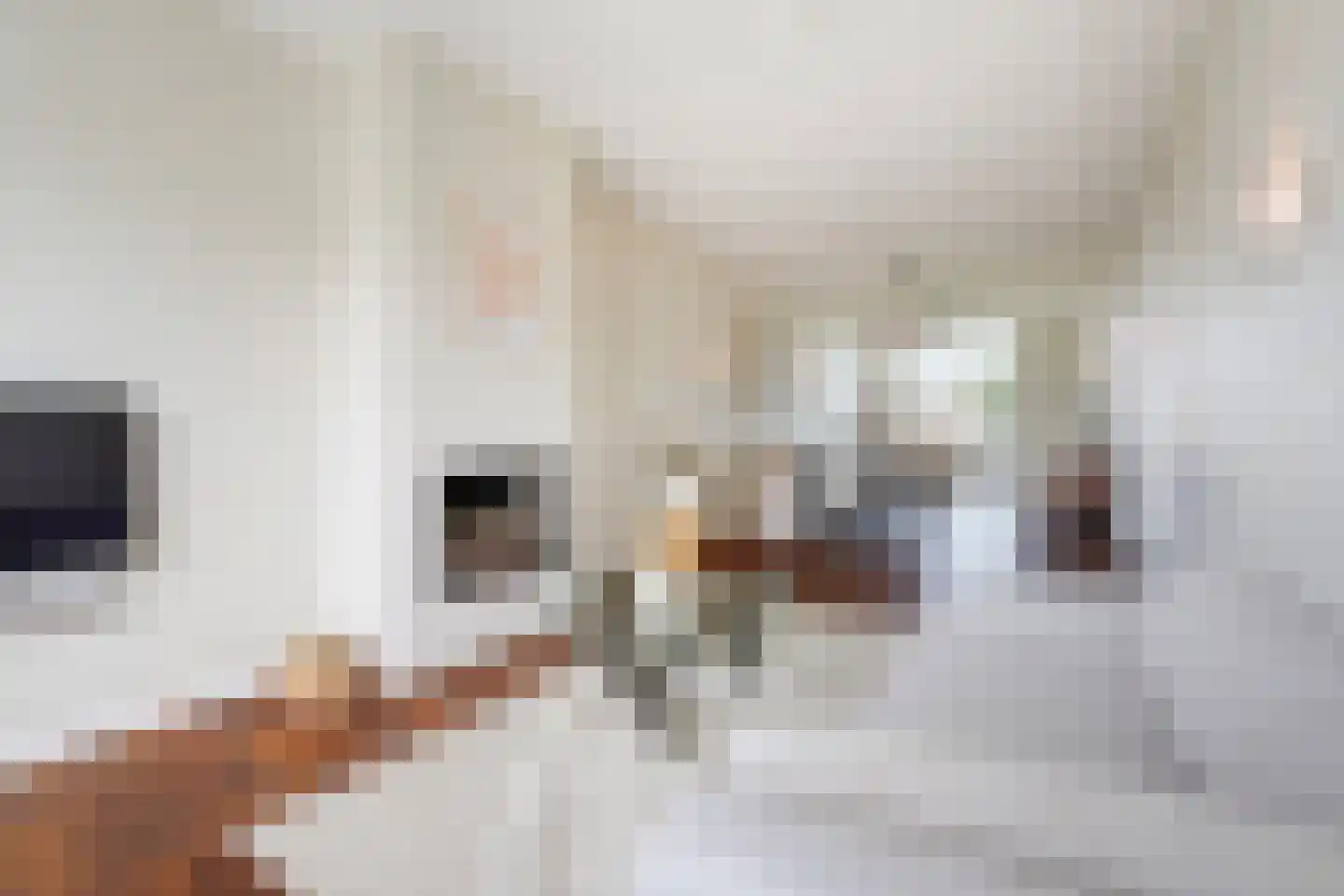 Johan van Hoornstraat 21 Den Haag thumbnail 13