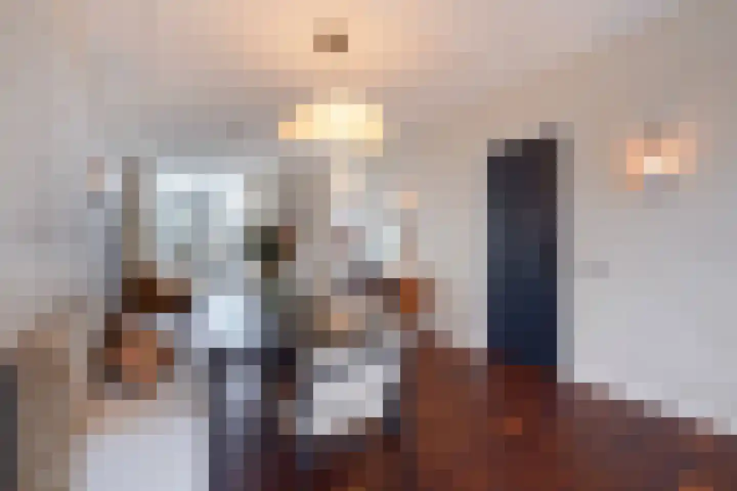 Johan van Hoornstraat 21 Den Haag thumbnail 14