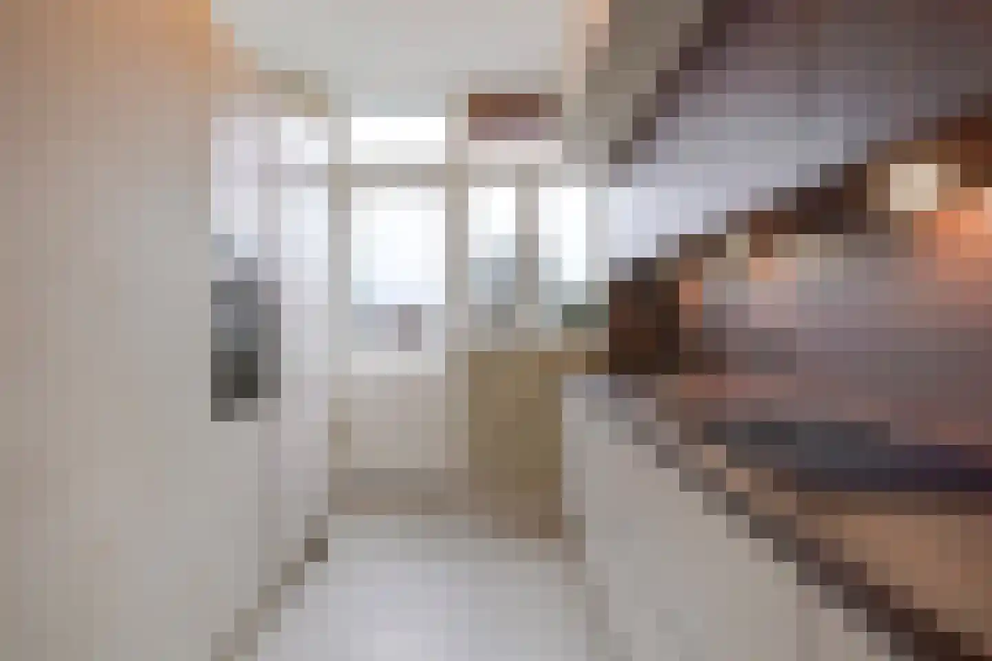 Johan van Hoornstraat 21 Den Haag thumbnail 17