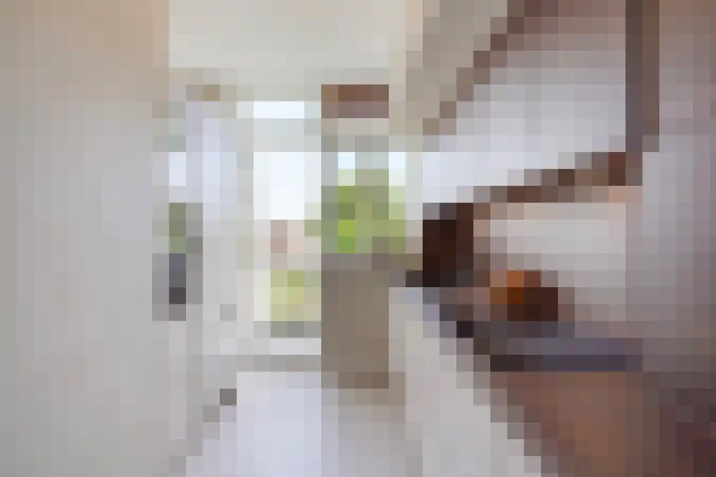 Johan van Hoornstraat 21 Den Haag thumbnail 18