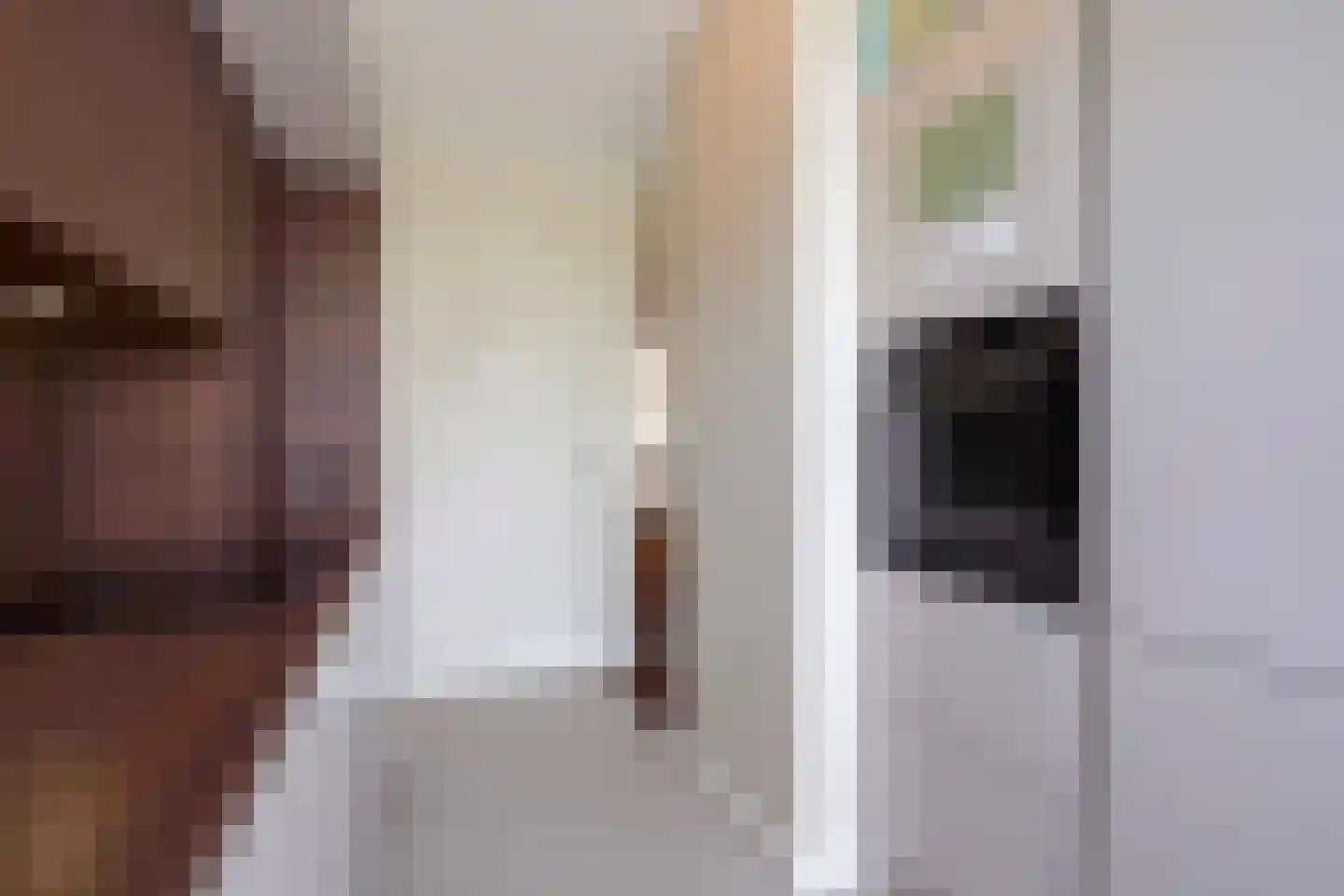 Johan van Hoornstraat 21 Den Haag thumbnail 19