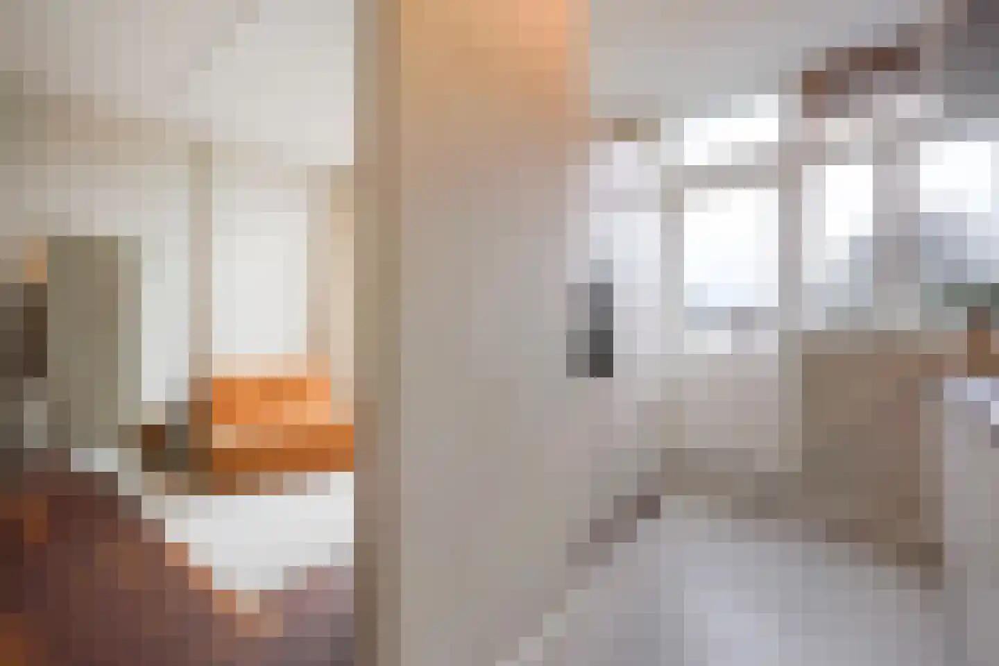 Johan van Hoornstraat 21 Den Haag thumbnail 19