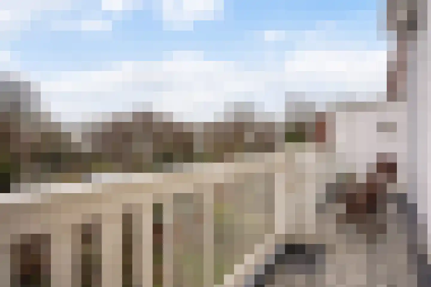 Johan van Hoornstraat 21 Den Haag thumbnail 20