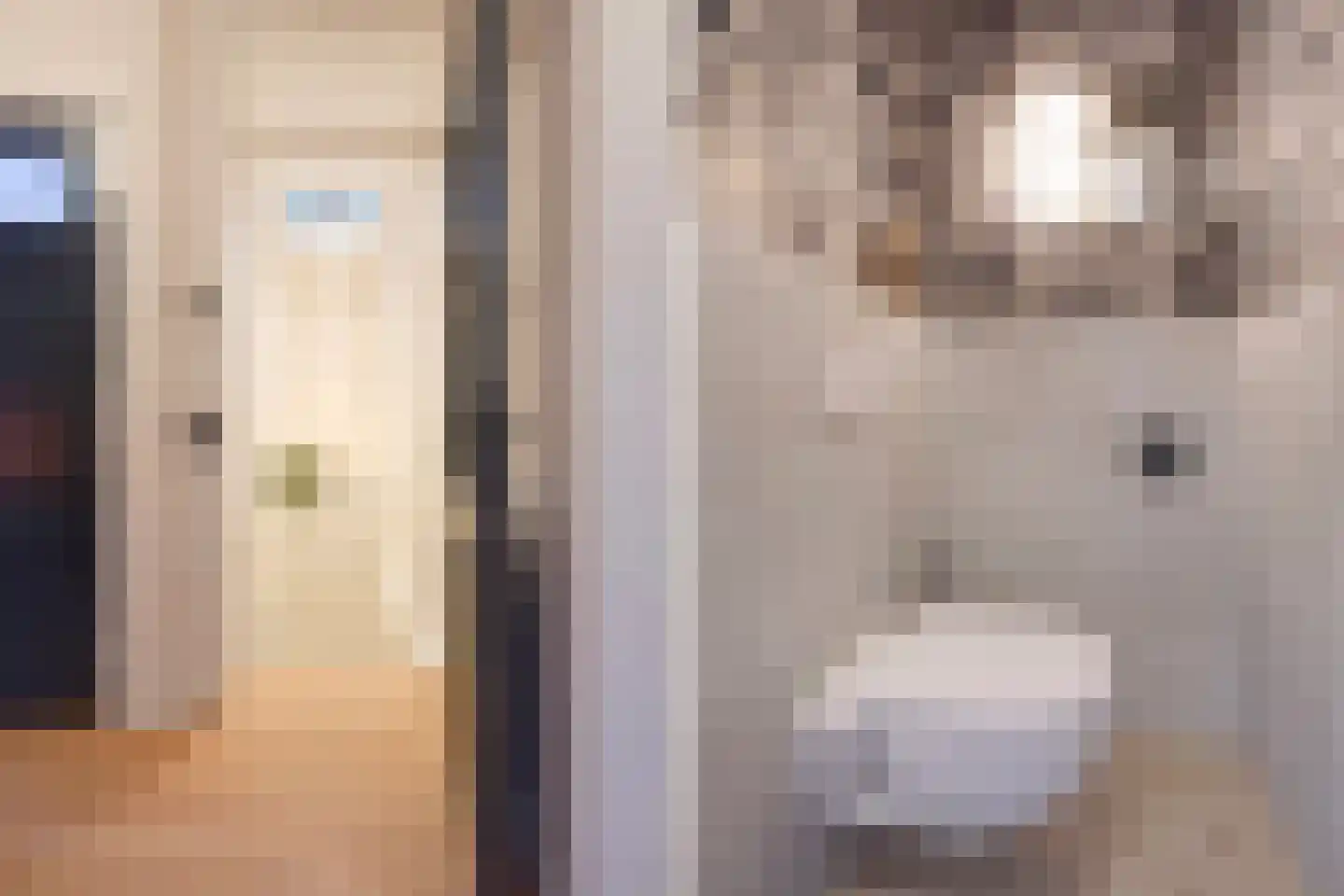 Johan van Hoornstraat 21 Den Haag thumbnail 21
