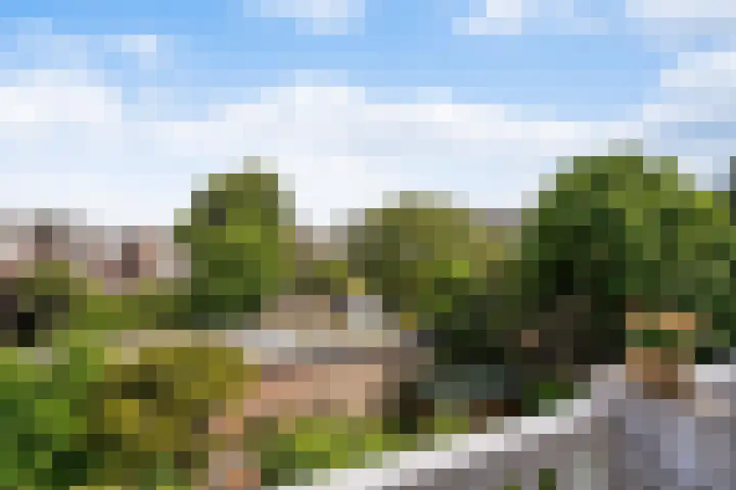 Johan van Hoornstraat 21 Den Haag thumbnail 21