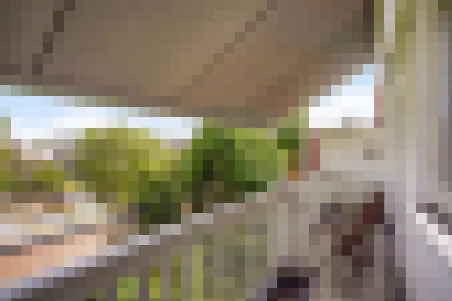 Johan van Hoornstraat 21 Den Haag thumbnail 22