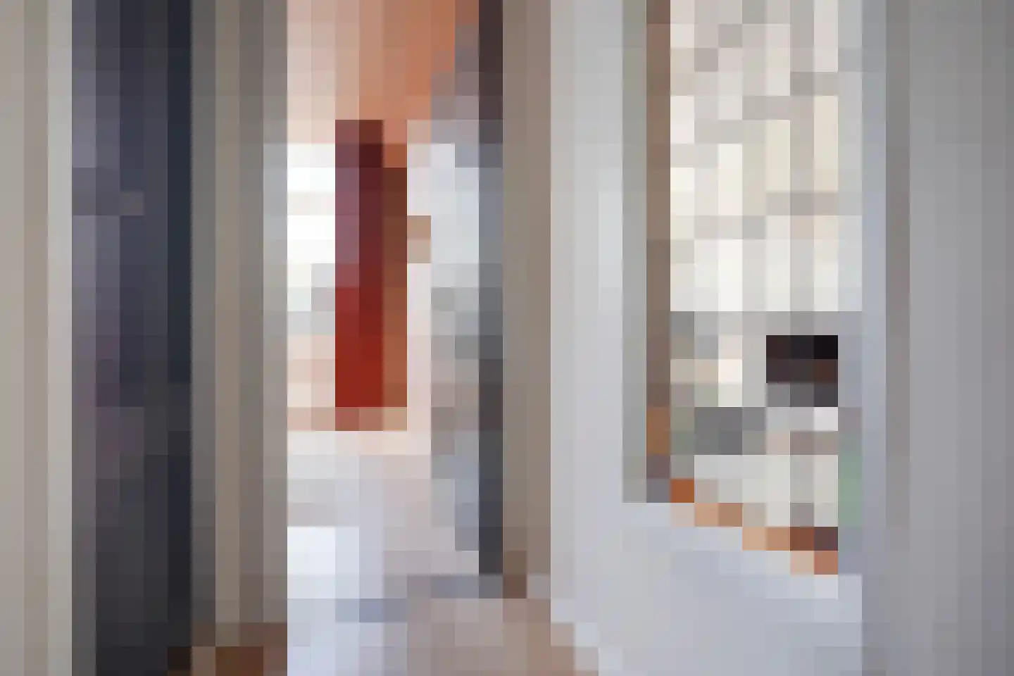 Johan van Hoornstraat 21 Den Haag thumbnail 23