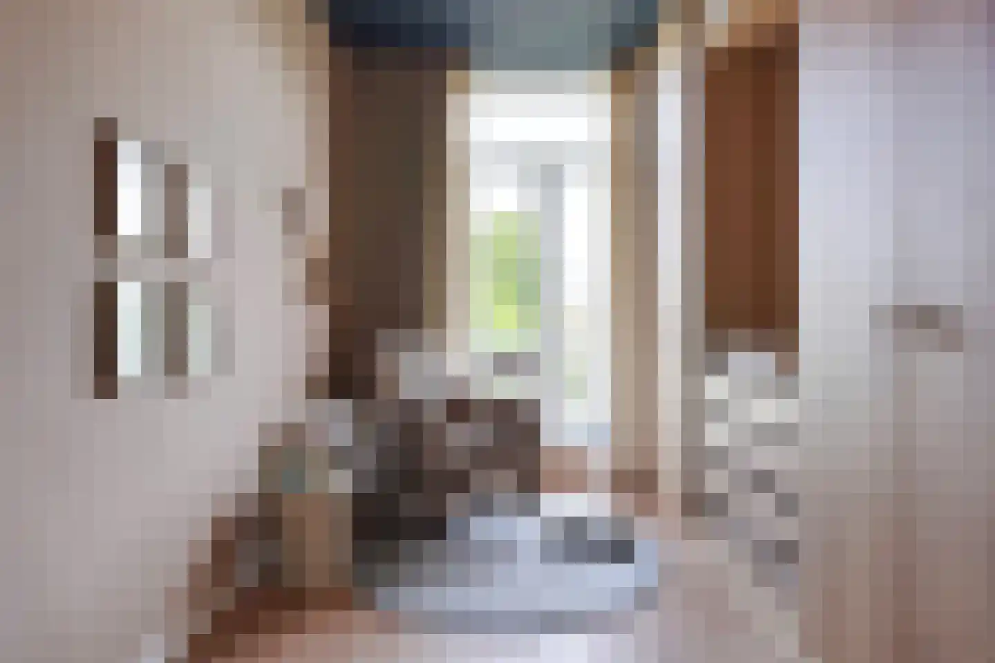 Johan van Hoornstraat 21 Den Haag thumbnail 30
