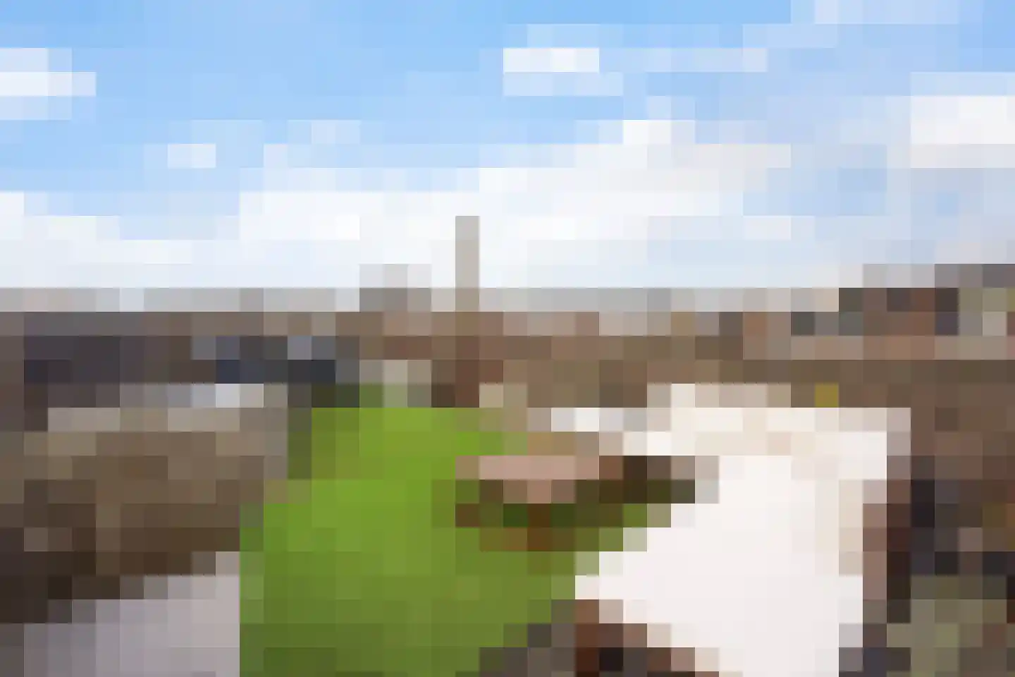 Johan van Hoornstraat 21 Den Haag thumbnail 32