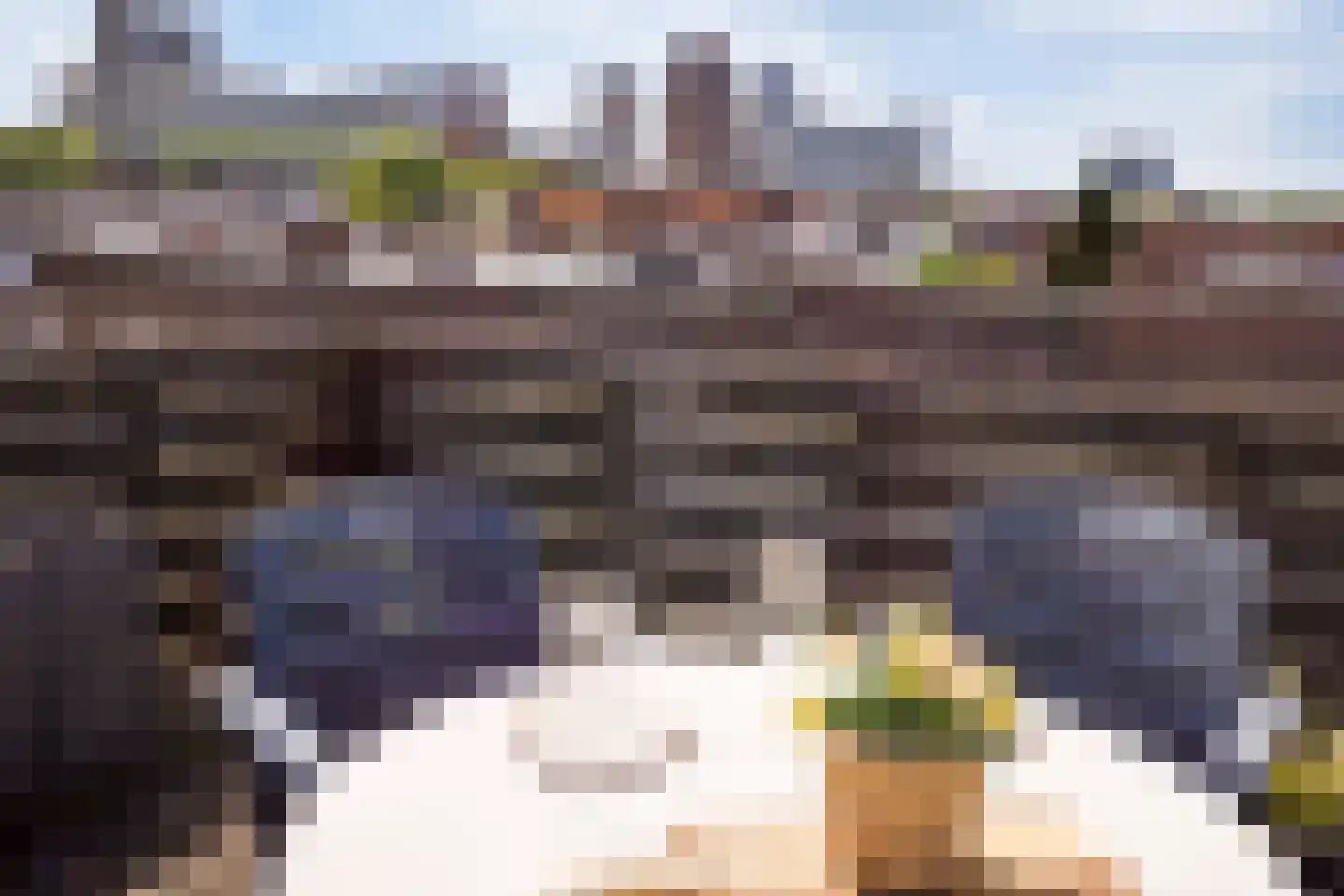 Johan van Hoornstraat 21 Den Haag thumbnail 34