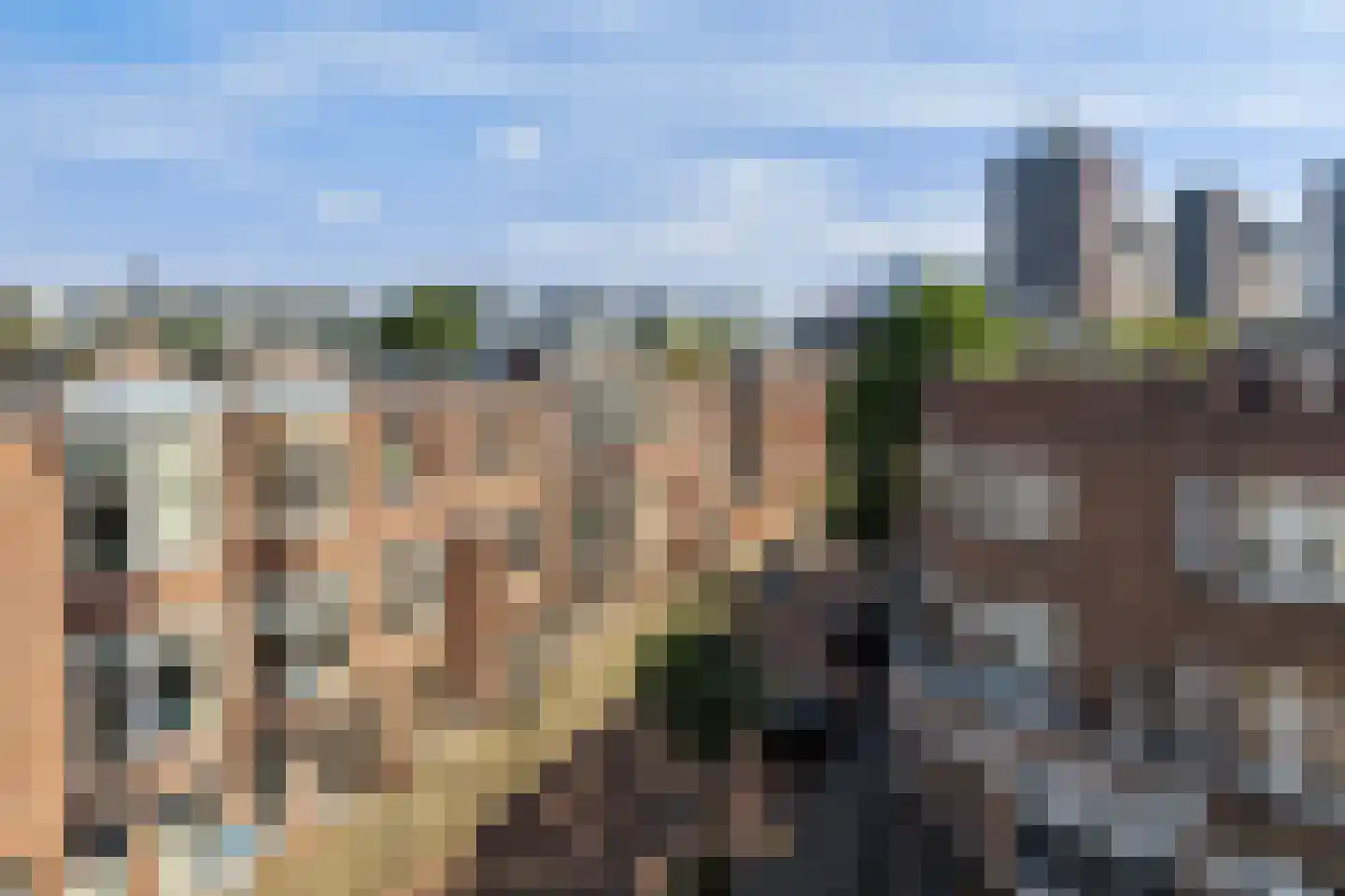 Johan van Hoornstraat 21 Den Haag thumbnail 36