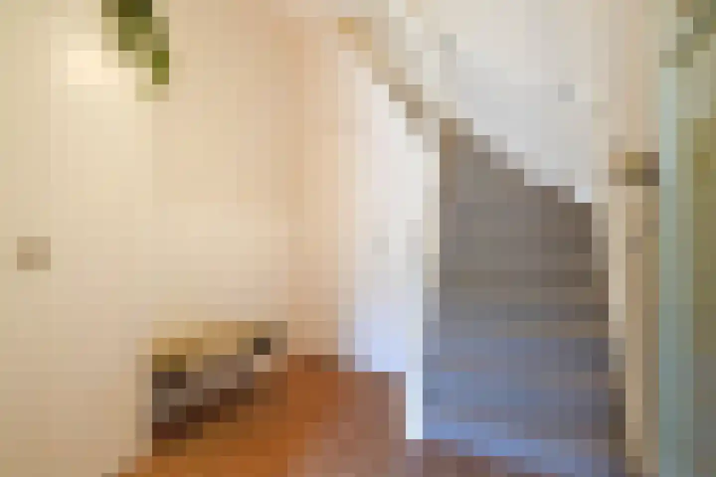 Johan van Hoornstraat 21 Den Haag thumbnail 4