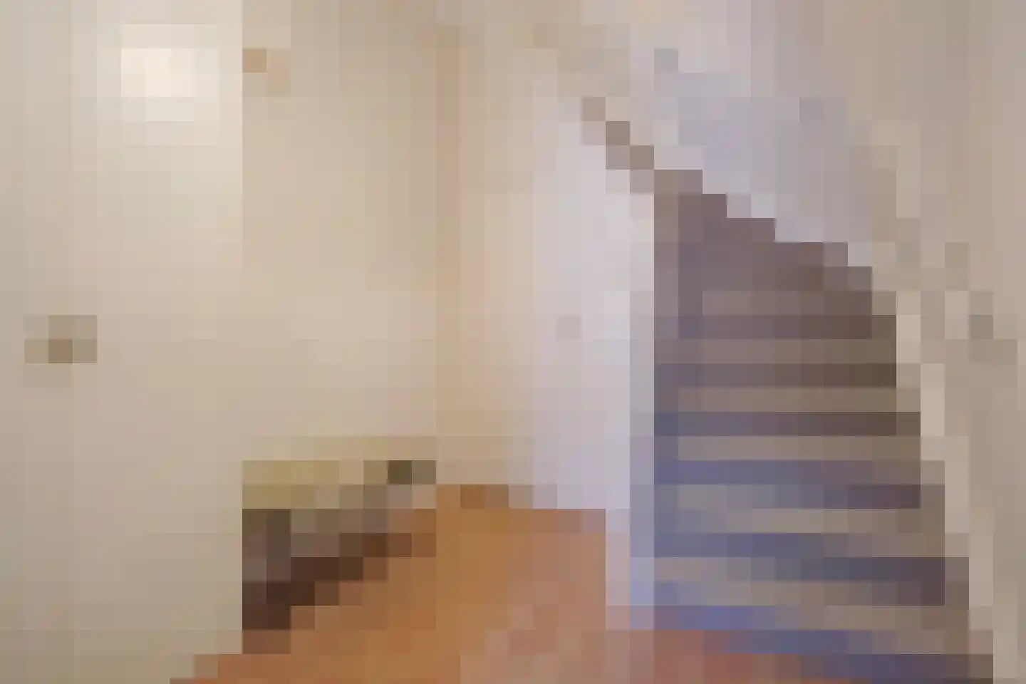 Johan van Hoornstraat 21 Den Haag thumbnail 6