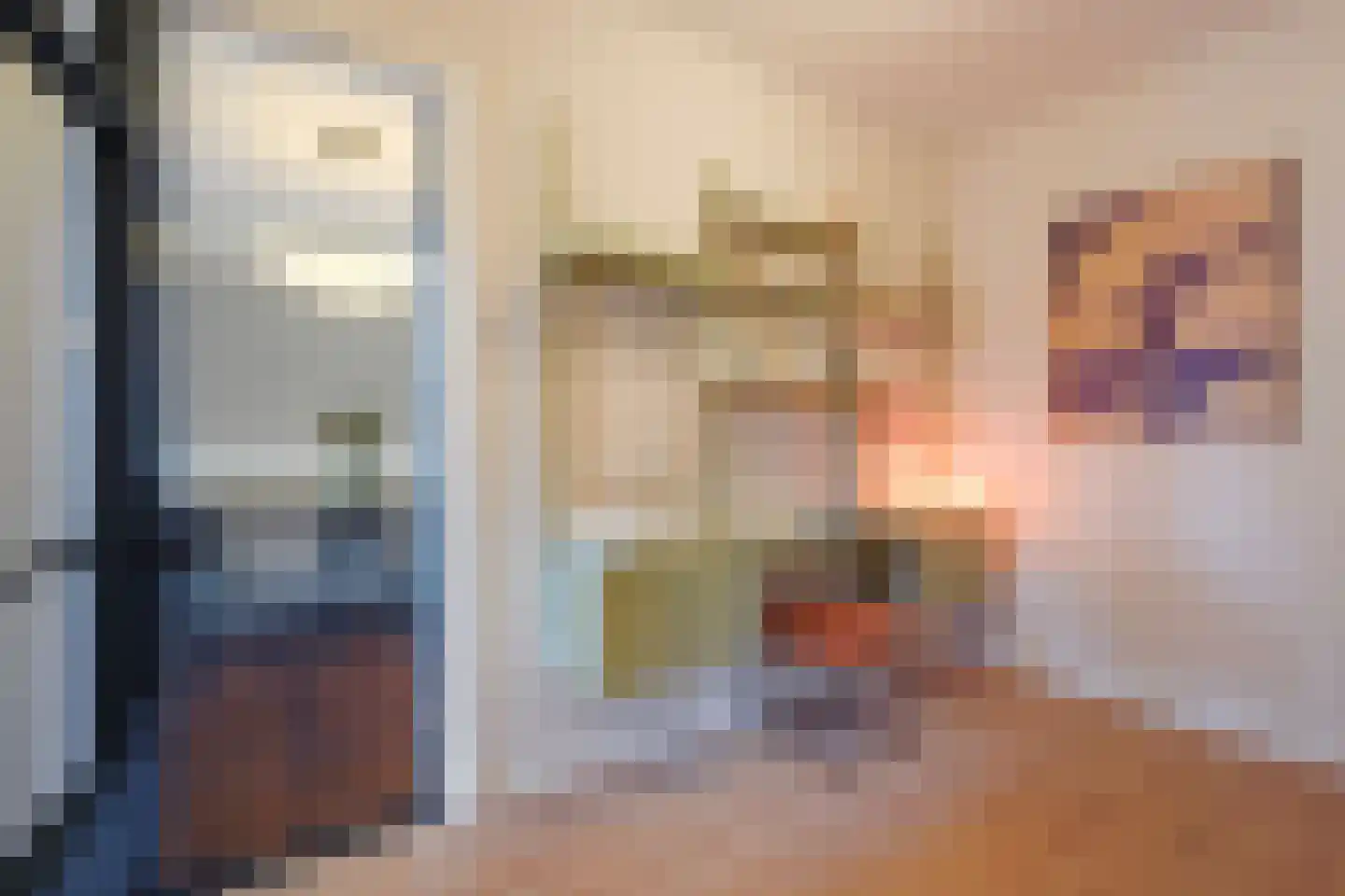 Johan van Hoornstraat 21 Den Haag thumbnail 8
