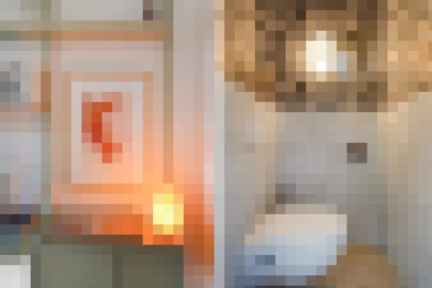 Johan van Hoornstraat 21 Den Haag thumbnail 9