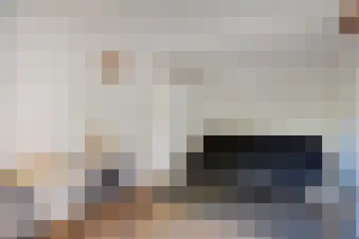 Johan van Hoornstraat 3 Den Haag thumbnail 20