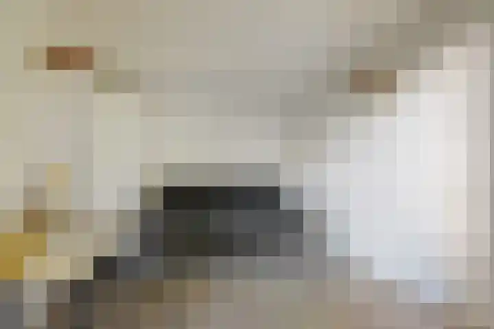 Johan van Hoornstraat 3 Den Haag thumbnail 21