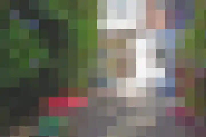 Johan van Hoornstraat 3 Den Haag thumbnail 23