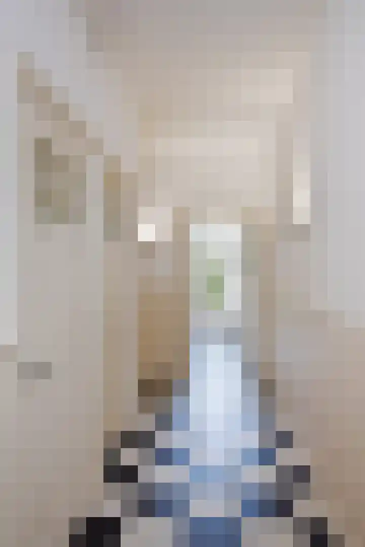 Johan van Hoornstraat 3 Den Haag thumbnail 27