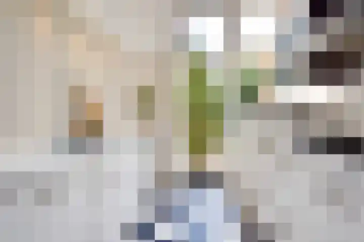 Johan van Hoornstraat 3 Den Haag thumbnail 29