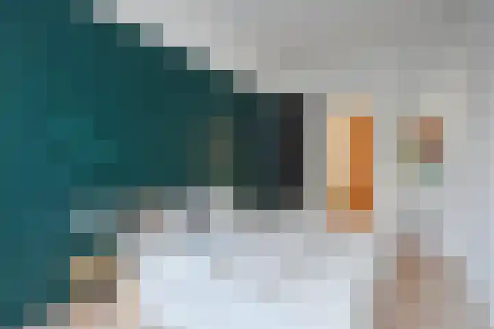 Johan van Hoornstraat 3 Den Haag thumbnail 36