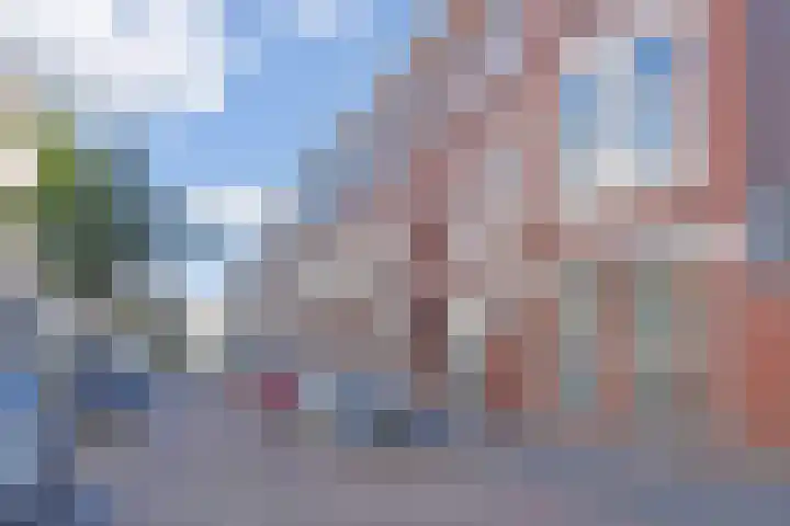 Johan van Hoornstraat 3 Den Haag thumbnail 48