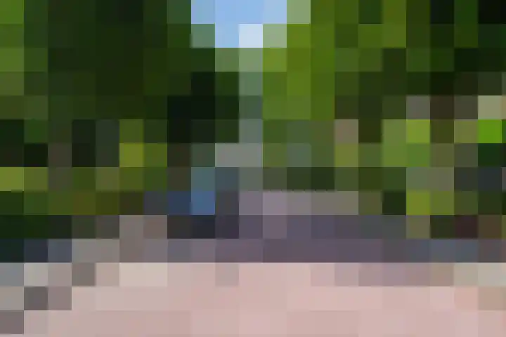 Johan van Hornestraat 8 Weert thumbnail 30