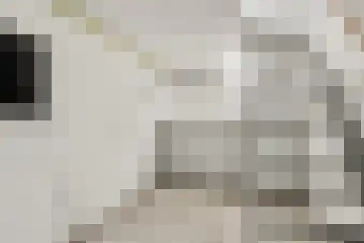 Johan van Kleefstraat 8 Molenhoek thumbnail 34