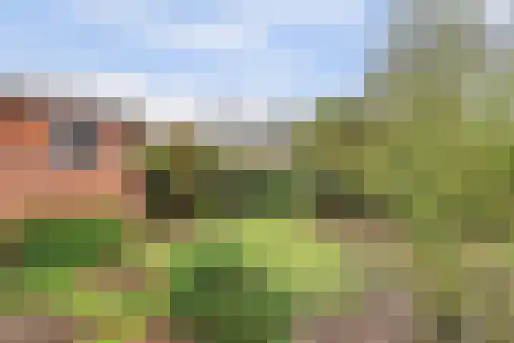 Johan van Kleefstraat 8 Molenhoek thumbnail 46