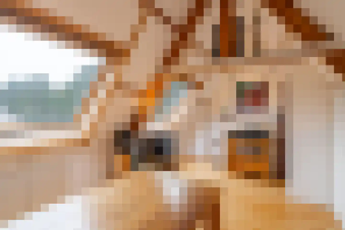 Johan van Limbeecklaan 13 Driebergen-Rijsenburg thumbnail 29