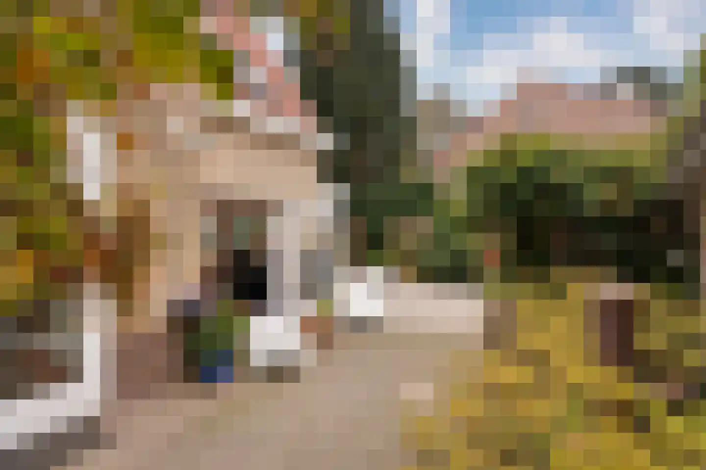 Johan van Limbeecklaan 13 Driebergen-Rijsenburg thumbnail 38