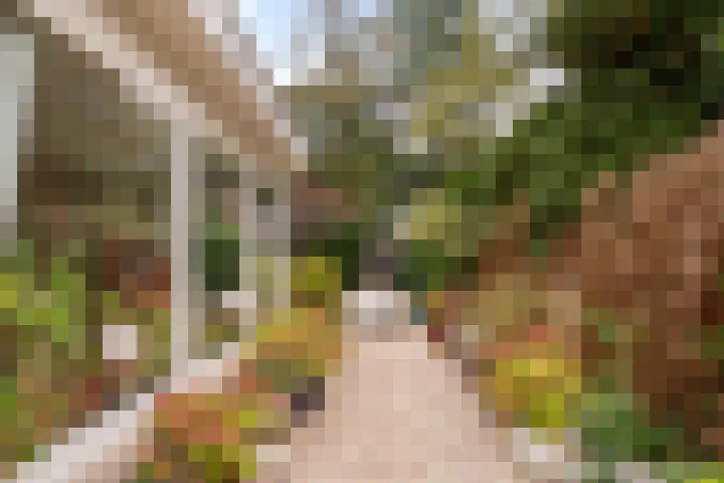Johan van Limbeecklaan 13 Driebergen-Rijsenburg thumbnail 40