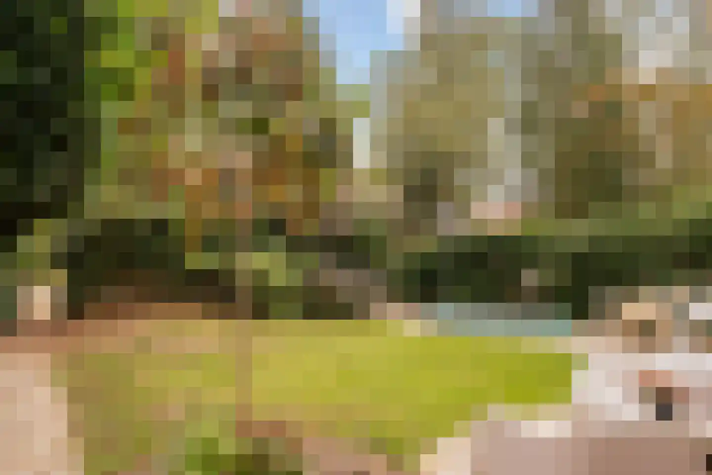 Johan van Limbeecklaan 13 Driebergen-Rijsenburg thumbnail 42