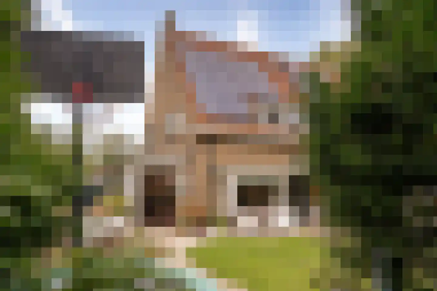 Johan van Limbeecklaan 13 Driebergen-Rijsenburg thumbnail 43