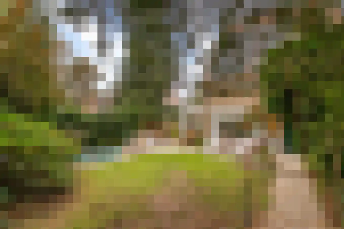 Johan van Limbeecklaan 13 Driebergen-Rijsenburg thumbnail 44