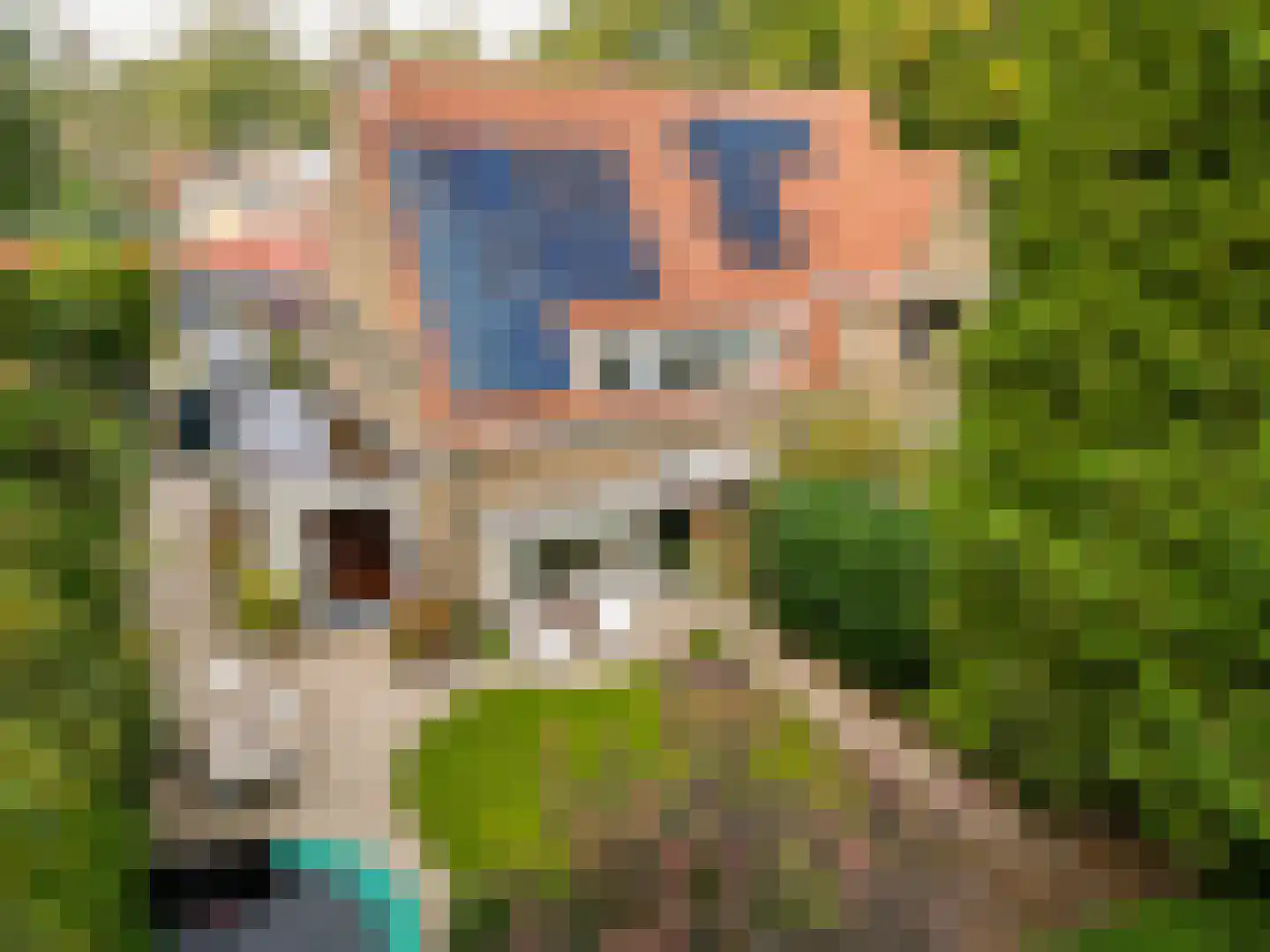 Johan van Limbeecklaan 13 Driebergen-Rijsenburg thumbnail 46