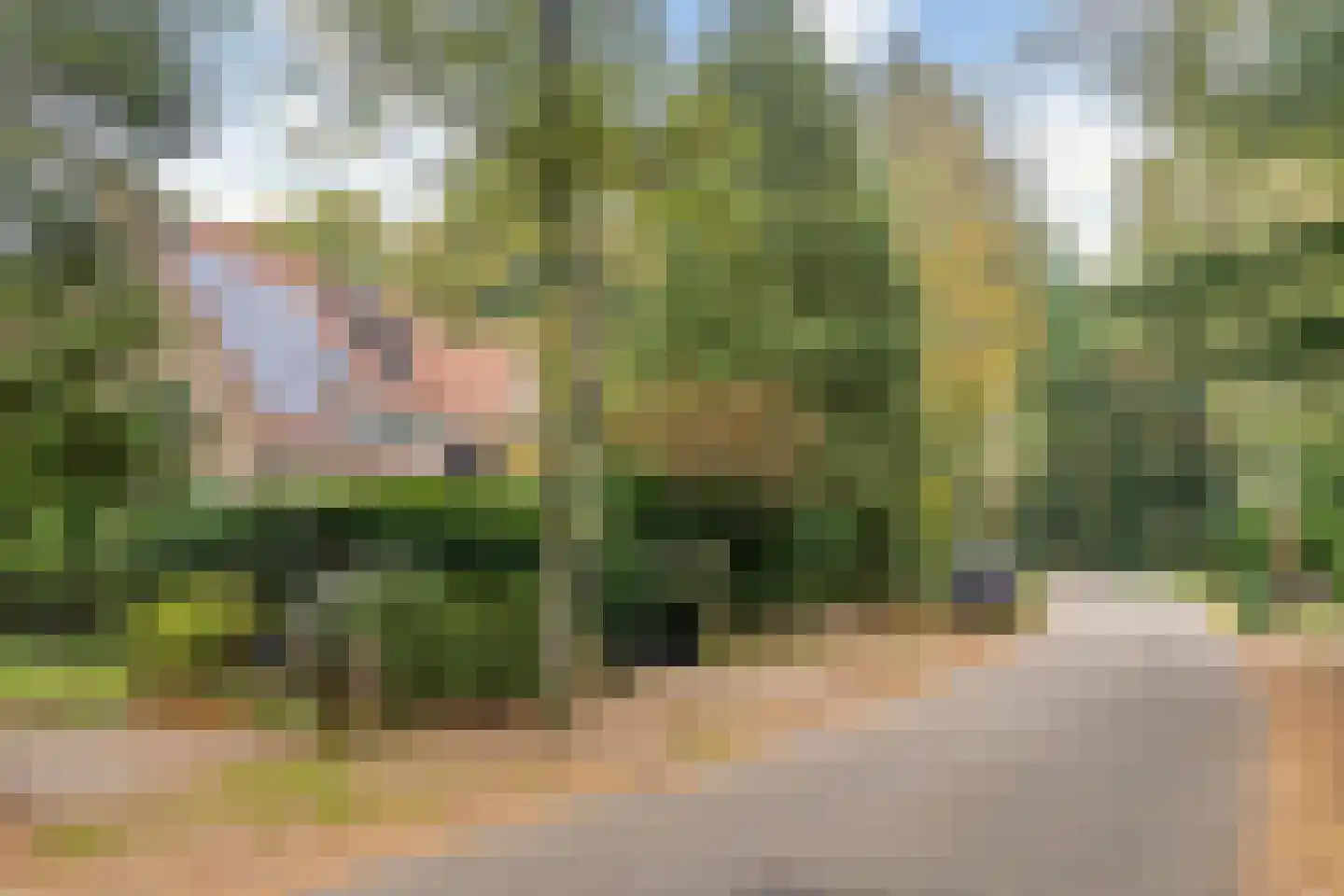 Johan van Limbeecklaan 13 Driebergen-Rijsenburg thumbnail 47